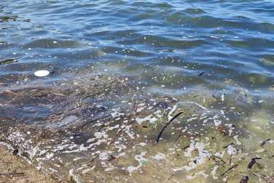 Schiuma, bolle e rifiuti: il mare barese, d'estate, si sporca sempre. Ecco il motivo